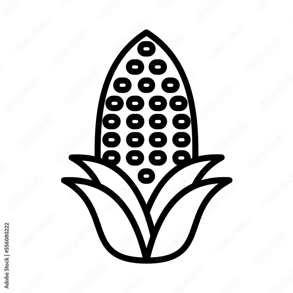 Corn Corn