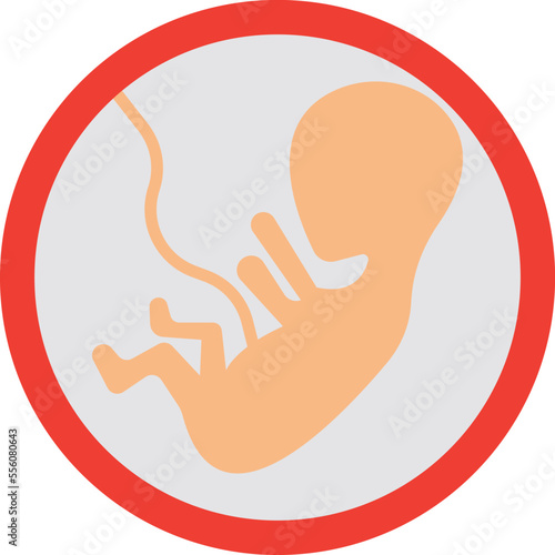 Pregnant belly Vector Icon

