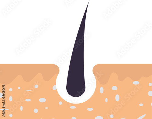 growth hair treatment Vector Icon
