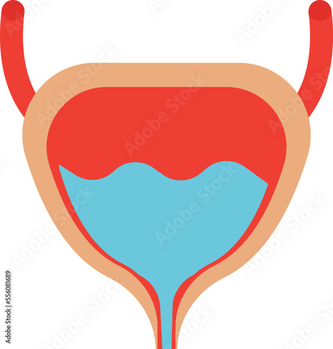 Human Bladder Vector Icon
