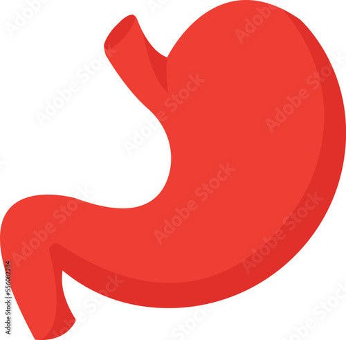 Stomach Vector Icon
