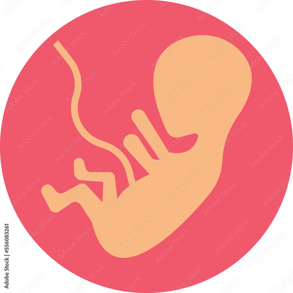 Pregnant belly Vector Icon
Pregnant belly Vector Icon