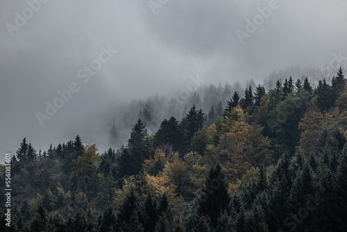 Herbststimmung  © Matthias_Haberstock