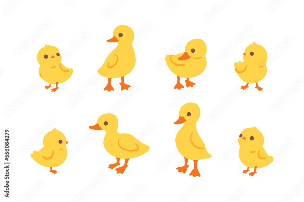 Cartoon duckling. Сute birds icons set. Childish print for nursery, kids apparel, poster, postcard, pattern.