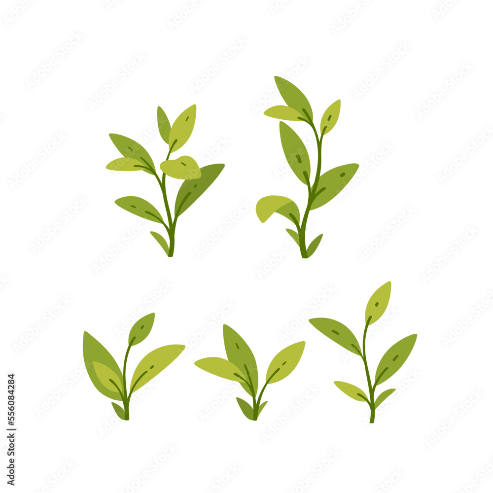 Set of small seedling with green leaves. Flat vector illustration. Set of small seedling with green leaves. Flat vector illustration.