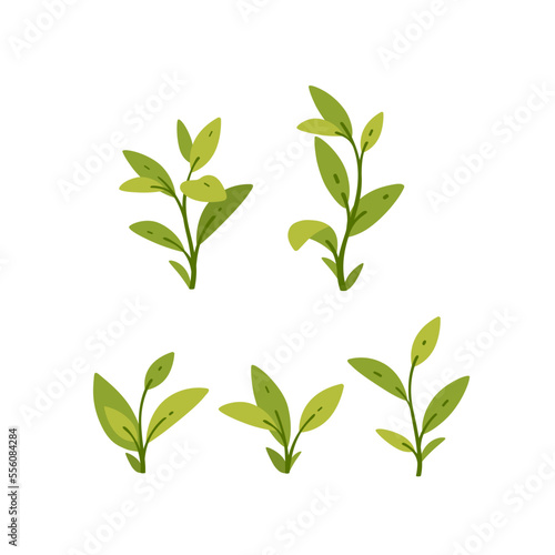 Set of small seedling with green leaves. Flat vector illustration.