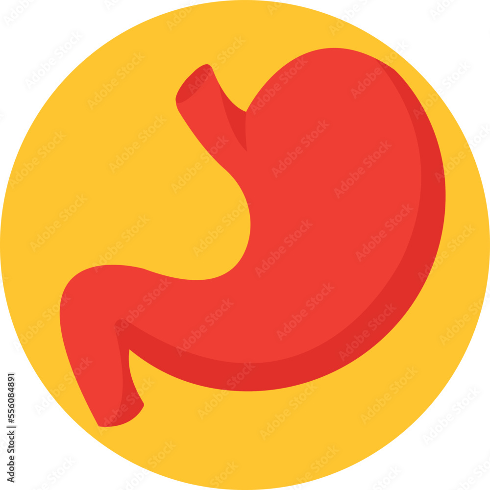 Stomach Vector Icon
Stomach Vector Icon