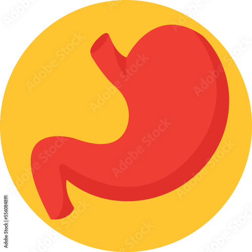 Stomach Vector Icon
