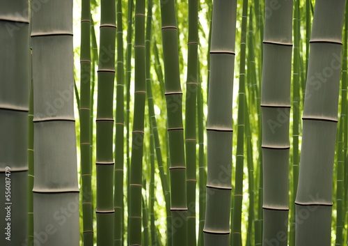 Illustration of bamboo forest, generative ai