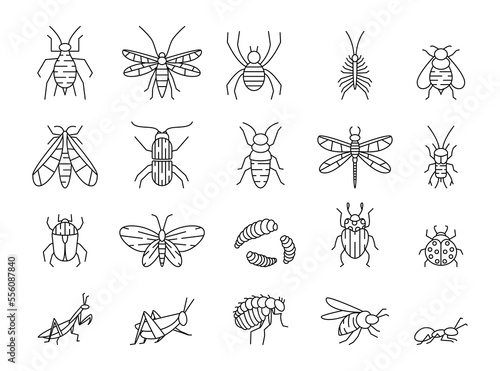 Line insects. Bug icons. Beetle and caterpillar. Outline pest symbols. Cricket and mosquito. Little animal. Winged butterfly and dragonfly. Plant bee. Vector stroke garish pictograms set