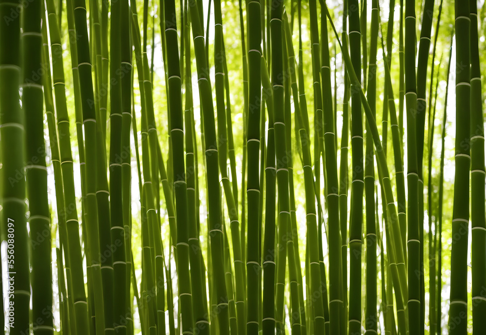 Illustration of bamboo forest, generative ai Illustration of bamboo forest, generative ai