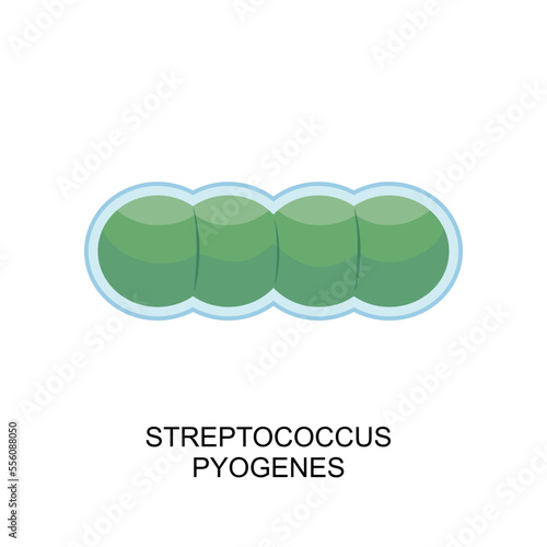 Streptococcus pyogenes icon. Streptococcus bacterium in flat style. Bacteria of streptococcus icon. vector illustration 