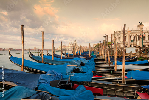 Venezia. Fila di gondole ormeggiate al Molo di Palazzo Ducale verso San Marco e La Salute © Guido