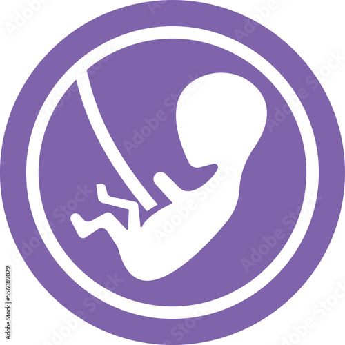 Pregnant belly Vector Icon

