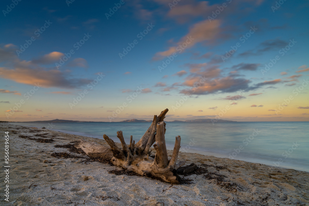 driftwood on a sandy beach with turquoise ocean water and a colorful sunset sky driftwood on a sandy beach with turquoise ocean water and a colorful sunset sky