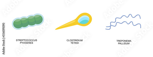Set of bacteria icon. Streptococcus pyogenes, Clostridium tetani, Treponema pallidum in flat style. Bacteria vector illustration photo