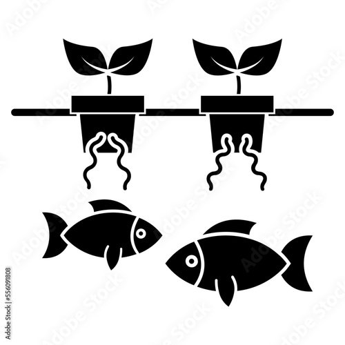 Aquaponics