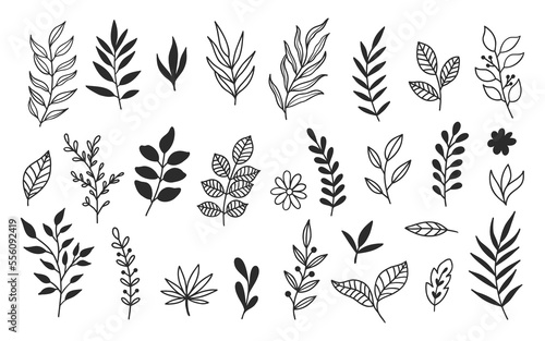 Hand drawn leaves botanical doodle floral vector element illustrations