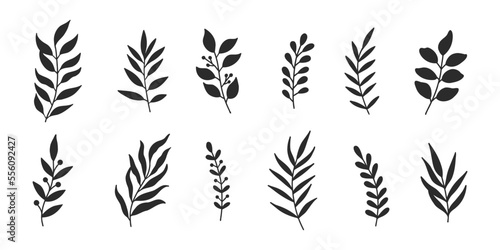 Vector leaves botanical doodle floral element vintage vector illustrations