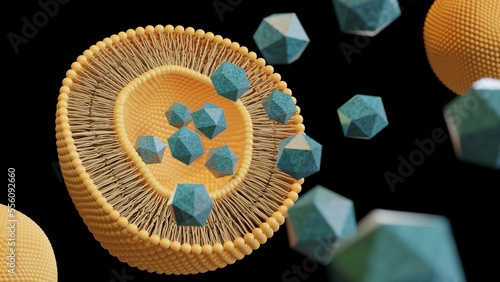 Release of liposome-encapsulated drugs 3d illustration photo