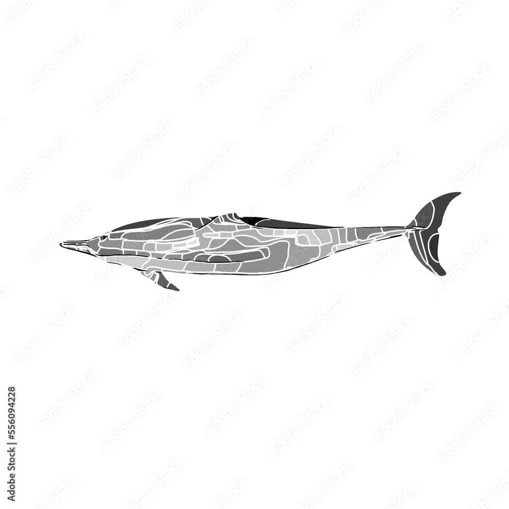 Dolphin black and white drawing design with color border and transparent background Dolphin black and white drawing design with color border and transparent background