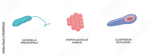 Set of bacteria icon. Legionella pneumophila, Staphylococcus aureus, Clostridium botulinum in flat style. Bacteria vector illustration photo