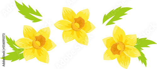 Flower label design, vintage template decoration vector illustration. Symbol ...