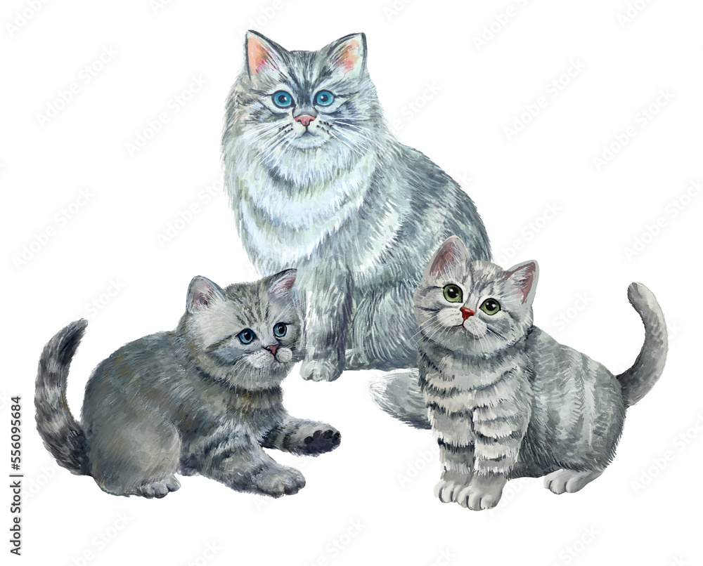 cat and kitten watercolor illustration. cat and kitten watercolor illustration.
