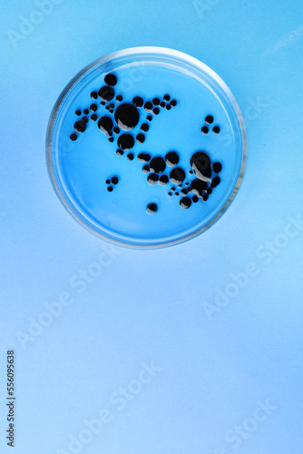 Petri dish with bacteria colony on light blue background  top view. Space for text
