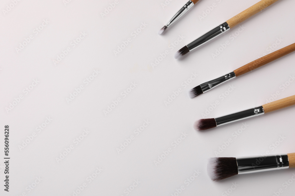 Set of makeup brushes on white background, flat lay. Space for text Set of makeup brushes on white background, flat lay. Space for text