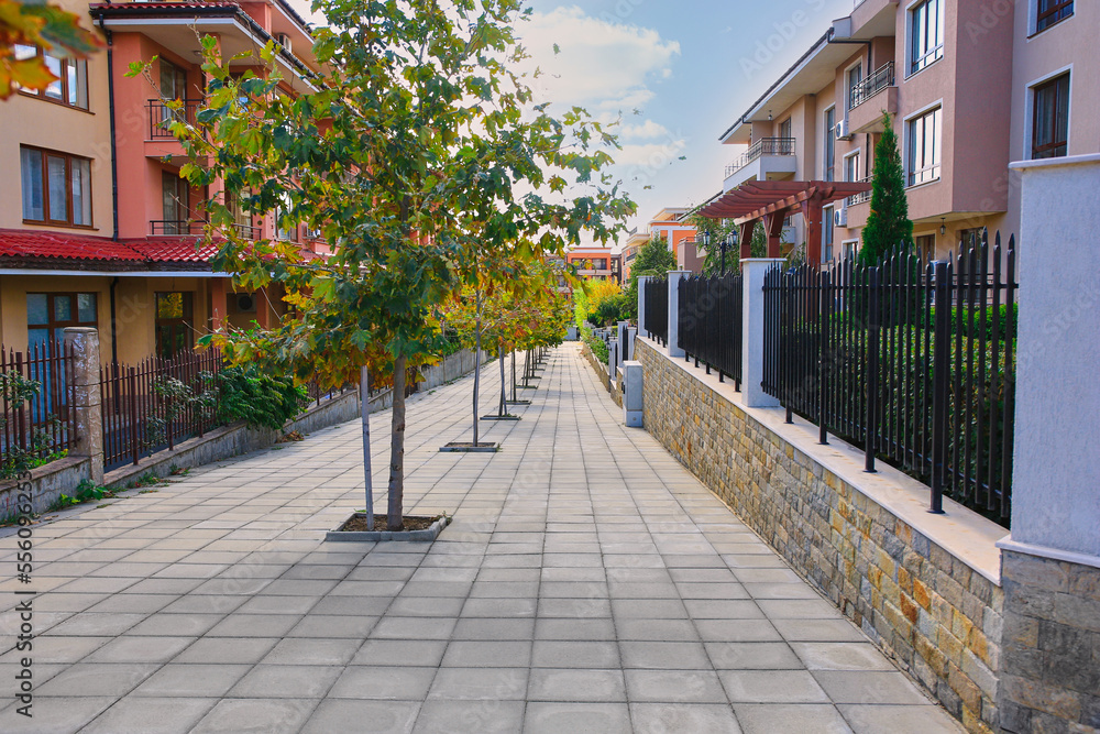 View of beautiful city street with trees and buildings View of beautiful city street with trees and buildings