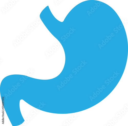 Stomach Vector Icon
