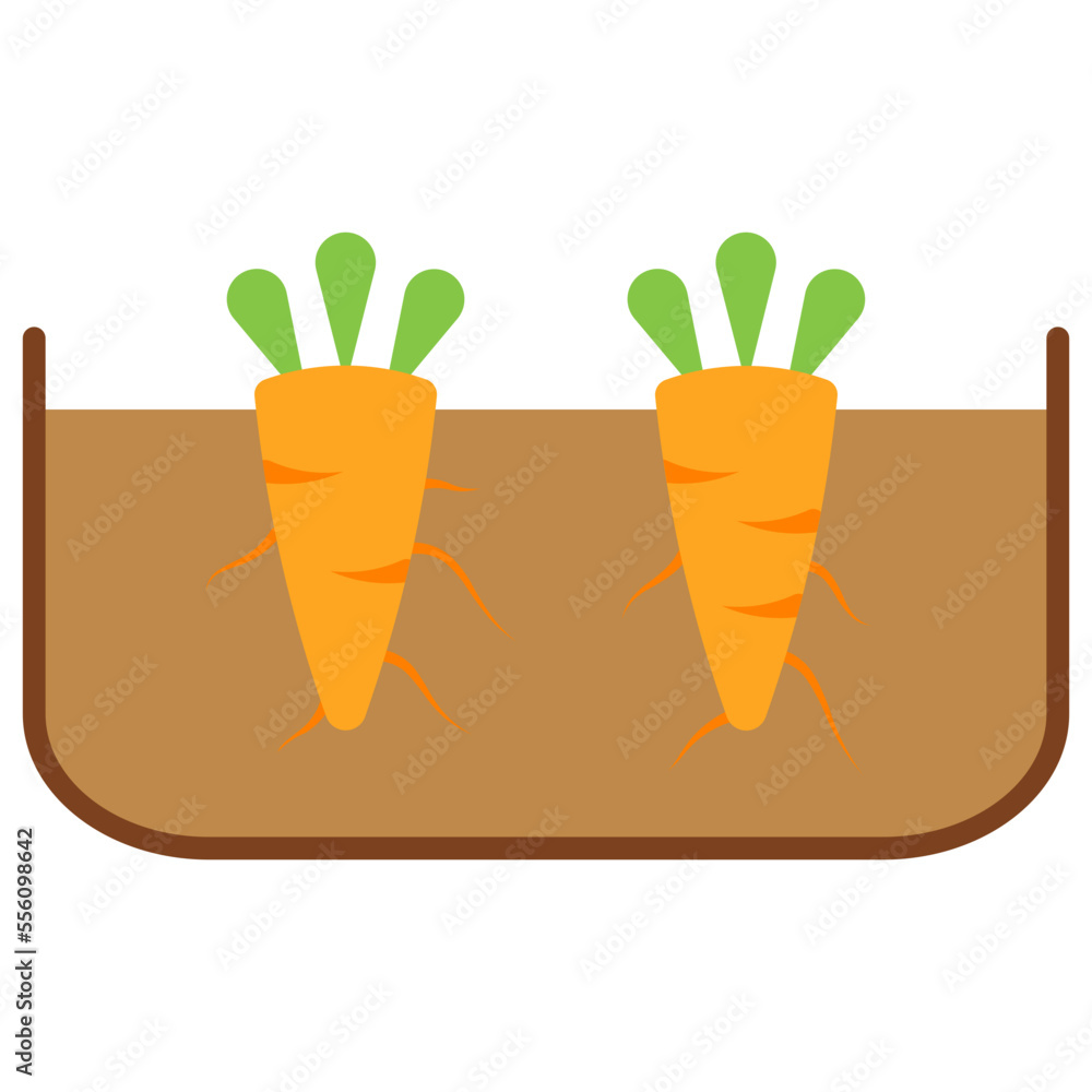 Carrot Carrot