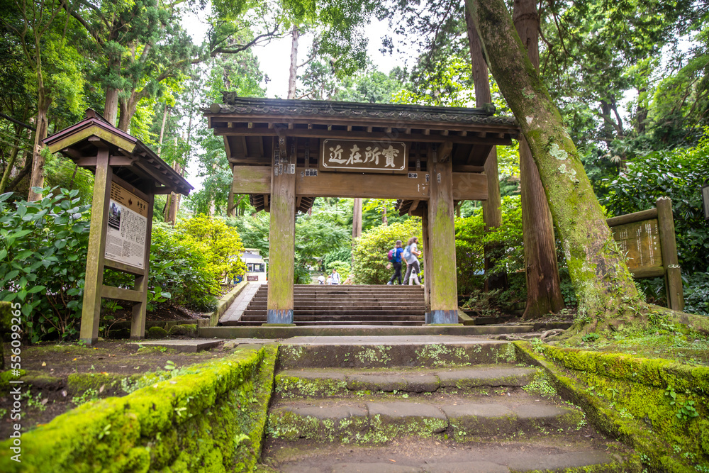 Obraz premium 神奈川県鎌倉市 浄智寺の風景 