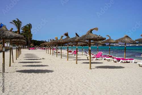 beach chairs and umbrella on Muro beach  Alc  dia bay in Mallorca  Spain 