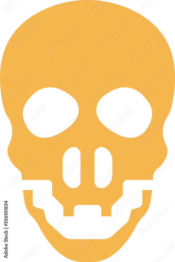 Skull Vector Icon
