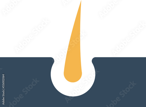 growth hair treatment Vector Icon
