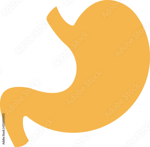 Stomach Vector Icon
