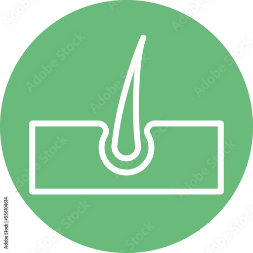 growth hair treatment Vector Icon
