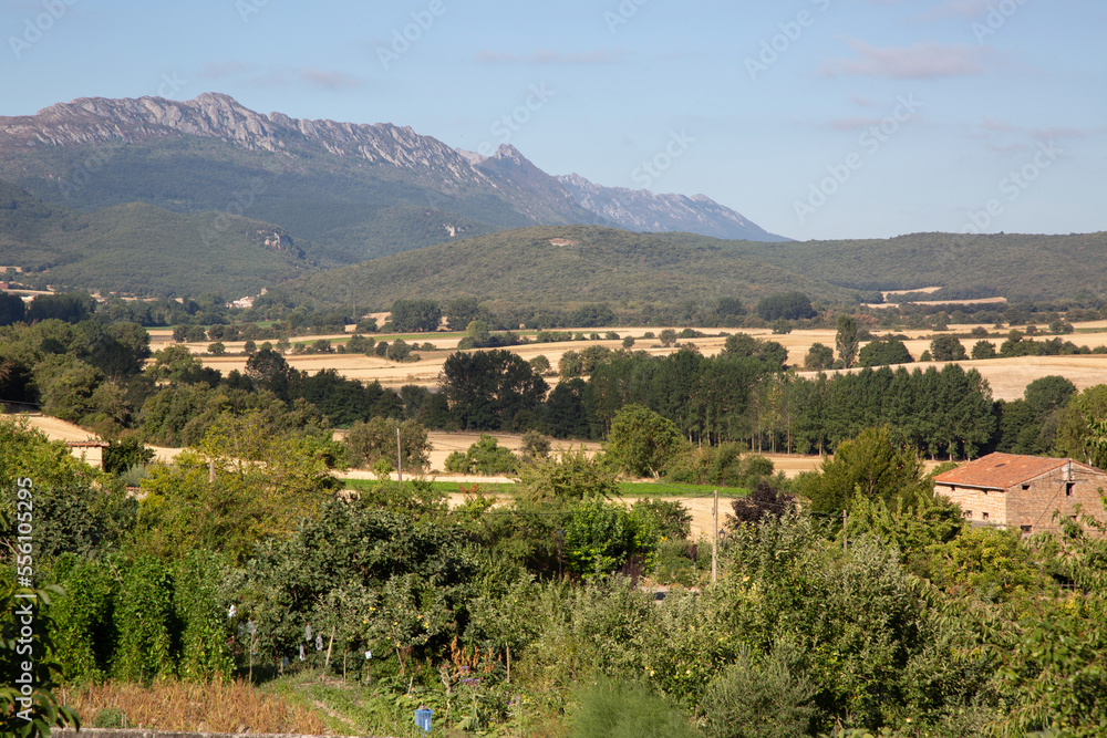 Landscape outside Genevilla, Navarra, Spain