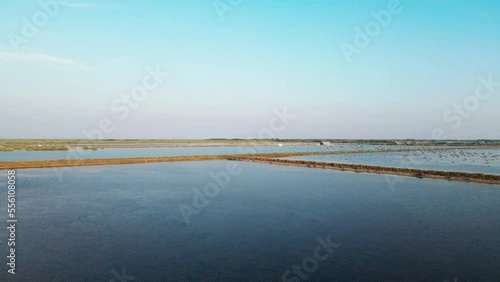 drone shot birds flying above salt field 4k 60fps