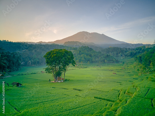 Mount Ciremai, one of the mountains in West Java. This highest mountain in West Java has a very beautiful natural beauty, one of which is in Bantaragung Village and Sindangpano Village.  photo