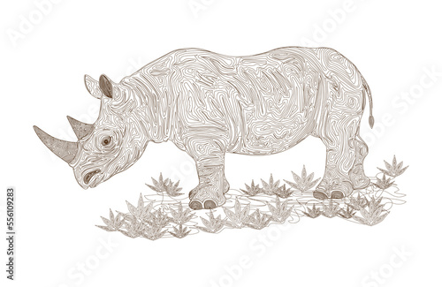 Rhinoceros vector illustration art. line art.