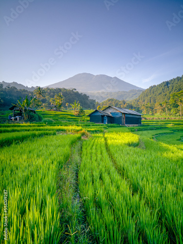 Mount Ciremai, one of the mountains in West Java. This highest mountain in West Java has a very beautiful natural beauty, one of which is in Bantaragung Village and Sindangpano Village.  photo