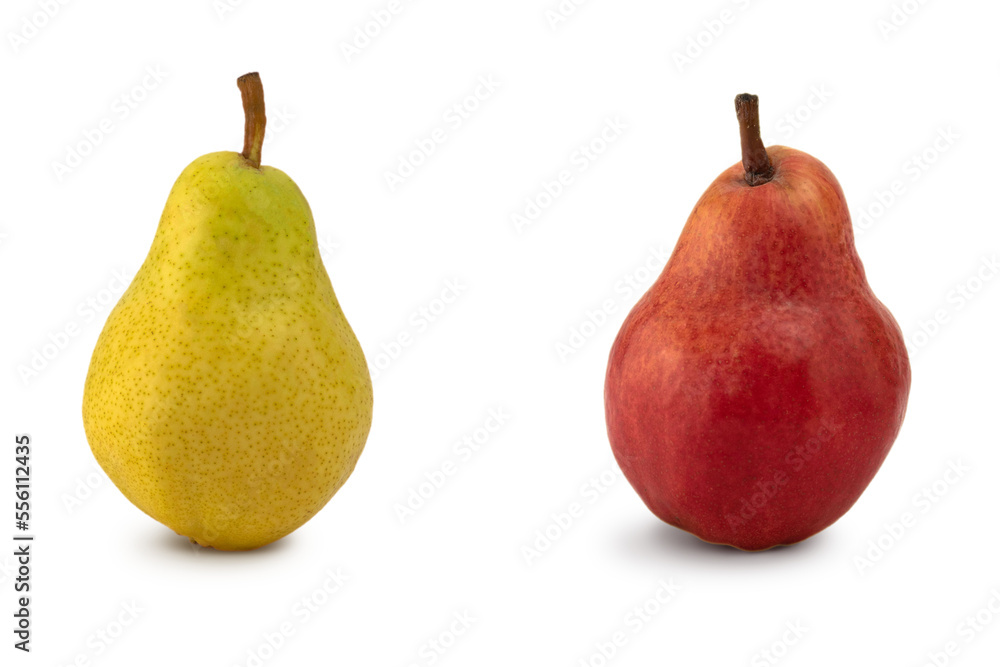 Red and yellow pear fruits isolated