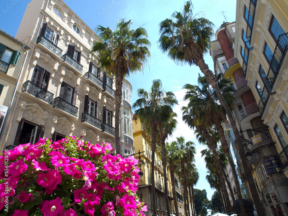 Naklejka premium Die spanische Stadt Malaga am Mittelmeer