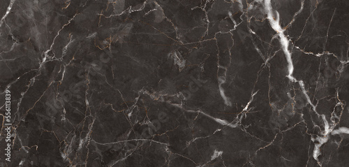 Black portoro marble stone background with white curly veins. Natural marble texture, hi-gloss premium texture of marble stone for digital slab tiles design, parking and kitchen interior decor. © Stacey Xura