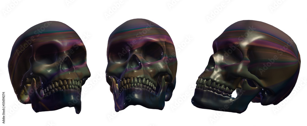 human skull human skull
