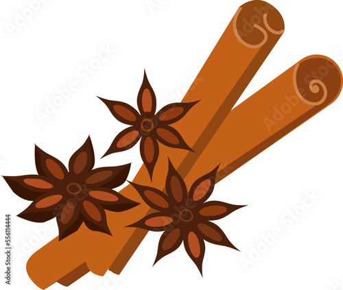 Star anise with cinnamon. Vector color isolated illustration.