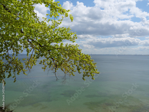 Fototapeta Naklejka Na Ścianę i Meble -  An der Ostsee in Polen